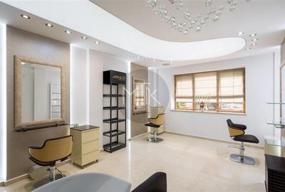 Proprietate premium cu curte – ideala pentru business-uri | LACUL TEI - 11