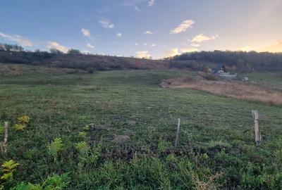 Loc de casa in Agafton - 2