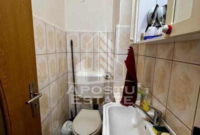 Apartament 3 camere, garaj, etaj 2, zona Lipovei, Timisoara, jud.Timis - 15