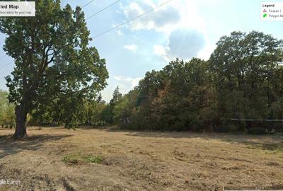 INCHIRIEZ 3.7ha PADURE+anexe pentru AVENTURA Parc, Bucuresti-Vest Padurea Ileana - 1