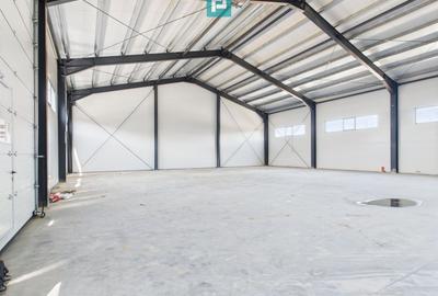 Hală industrială în zona Giarmata – Timiș - 1