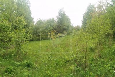 Teren Construcții intravilan de 2000 mp, în Săliște