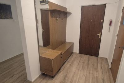 Apartament Drumul Taberei - Liceul Lovinescu - Valea lui Mihai - 18