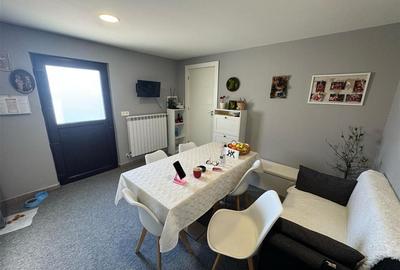 Casa P+M partial mobilata de vanzare in Campineanca (toate utilitatile) - 16