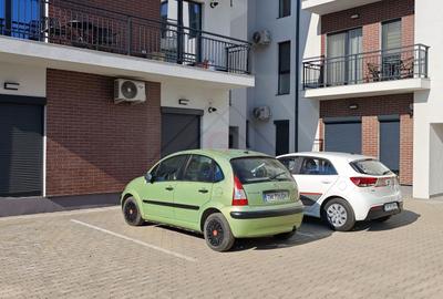 Lux aproape de judetean si Buziasului. PET FRIENDLY! - 33