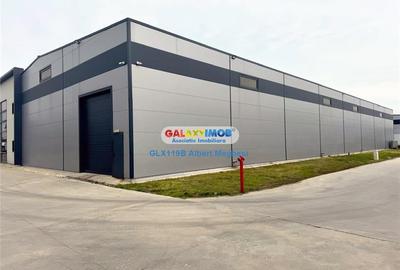 Inchiriere Spatiu Depozitare Hala Centura-Mogosoaia - 2
