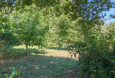 Râșnov - zona Eminescu, casa cu 1000 mp teren. - 10