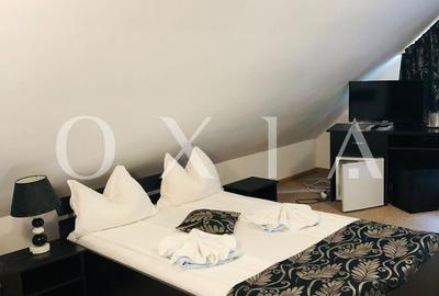 AX949 Pensiune Exclusivista In Inima Statiunii Sovata - 21