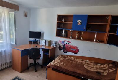 Casa cu etaj si 890mp teren zona Drumul Tatarilor - 5
