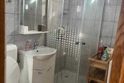 Apartament 2 camere Ion Mihalache - 11