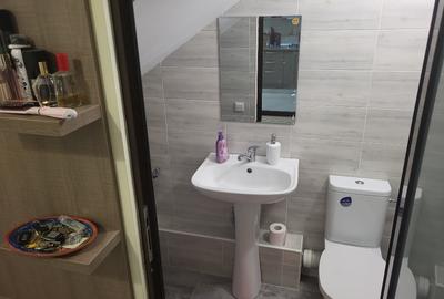Casa P+1+garaj+terasa,gaz,curent,canalizare,apa,utilata+mobilata,mutare imediata - 11