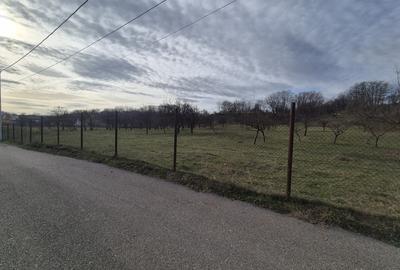 Teren intravilan  Vălenii de Munte – 9.123 mp | Deschidere 45 ml | Lângă râul Te - 13