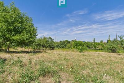 Teren 4919 mp– Comuna Călacea - 1