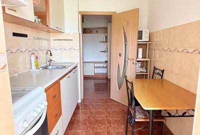 APARTAMENT CU 2 CAMERE DECOMANDAT, STR. STRAMOSILOR, DACIA - 9