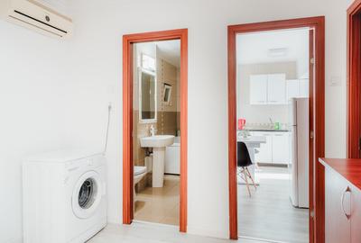 Apartament 2 camere de inchiriat I Blvd Unirii - 9