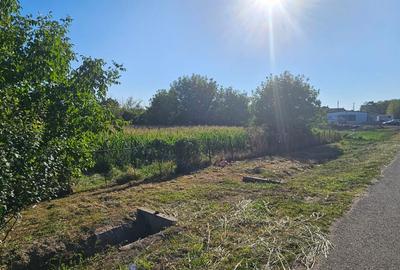 Teren agricol intravilan de 5035 mp, în Gelu