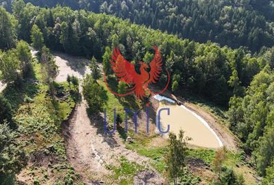18000 mp de natura pura ,Lupeni, langa Straja - 3