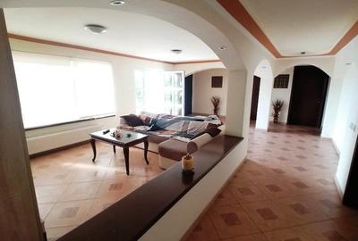 Vila individuala -  7 camere- Domnesti - Tudor Vladimirescu- 400 mp teren - 2000 - 11