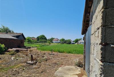 CASA LA ROSU IN SIRIA - 1