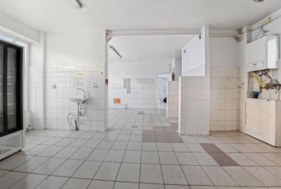 Cladire individuala 243 mp de inchiriat pe strada Mioritei Bacau - 13