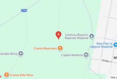 Vand teren vie Extravilan Maderat,jud.Arad - 1