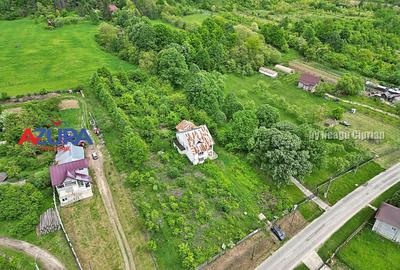 AZURA Imobiliare - Budeasa, Teren 5.069 mp, Casa BONUS - 6