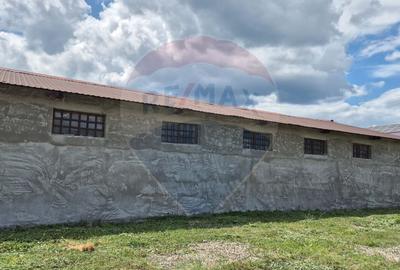 Spațiu industrial/hala de  vanzare - Piatra Neamt - 2