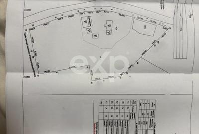 Refugiu la țară: casă cu 2 camere și teren de aproape 4.000 mp, Cocu - 1