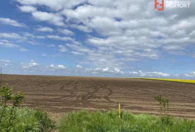 Teren Agricol | Opurtunitate investitie | Sananadrei - ID V713 - 5
