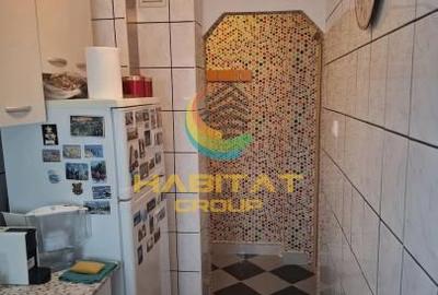 2 camere Brancoveanu Izvorul Rece semiutilat - 9