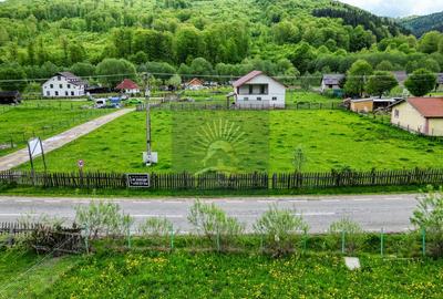 Teren de 2.300 mp în satul Buzăiel, Vama Buzăului - 2