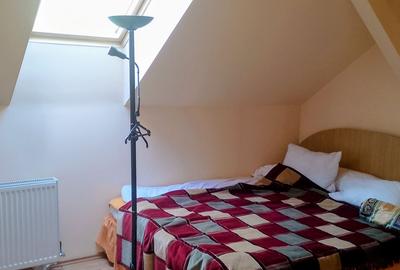 CI658 Sagului,casa-vila individuala P+M,Timisoara - 10