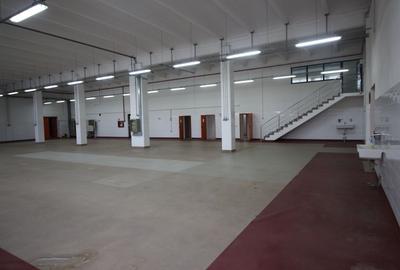Hala productie    - Calea Torontalului de vanzare - 9