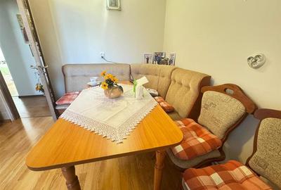 Apartament decomandat cu 2 camere zona Vasile Aaron - 13