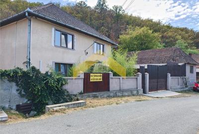 Casa de vanzare localitatea Cladova, judetul Arad - 2