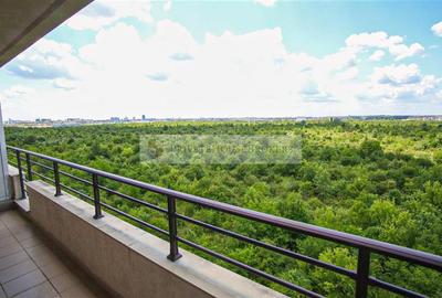 Pipera | Iancu Nicolae | Complex Privighetorilor | Parcare - 8