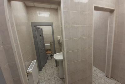 Zona bd. Th. Pallady - hala si birouri 550mp - 8