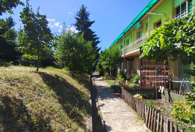 De vânzare Apartament 1 cameră | 42 mp | Gruia - 10