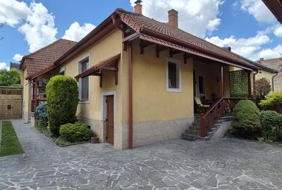 Casa singur in curte Ultracentral - str. Rodnei - 1