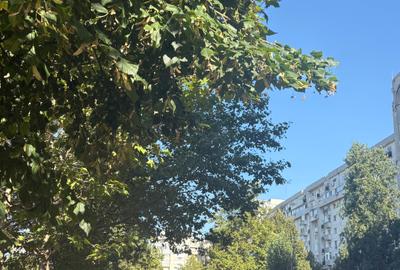 O.Goga, ap. 2 camere, et.2, 70mp, renovat, loc  parcare inclus, 700Euro/luna - 20