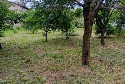 Casa individuala,  teren 1000mp  cu centrala termica pe gaz - 1