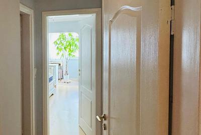 Piata ALBA IULIA/DECEBAL,nestradal,apartament superb,ideal locuit,utilat complet - 6