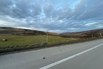Teren Extravilan I 6000 Mp I Acces la drum | Cojocna - 4