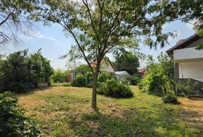 Casă S+P+M | Dârvari, Tămădău Mare | Teren 3000 mp - 5