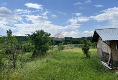 Casă cu teren generos de 8.774 mp, în Mareș – Albota - 22