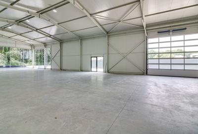 Reprezentanta PREMIUM| Hala Showroom 988mp, locatie exceptionala! - 7