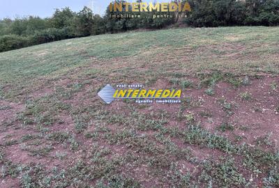 Teren intravilan de vanzare 1300 mp in Sard - 3