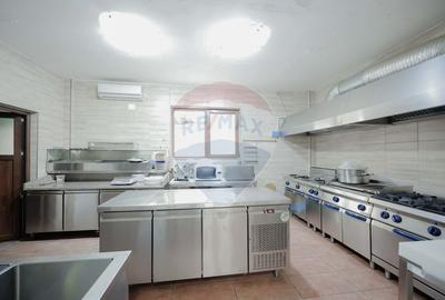 Pensiune cu 6 camere și restaurant de vânzare în Șuncuiuș - 6
