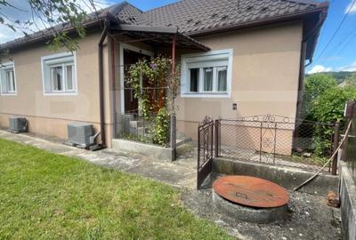 Casă individuală cu 3 camere în Șintereag