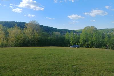 Teren extravilan Bradu - zona cu panorama superba - 3